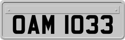 OAM1033