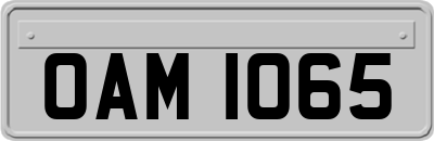 OAM1065