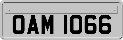 OAM1066