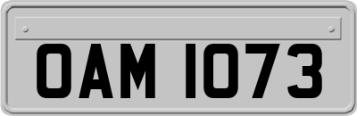 OAM1073