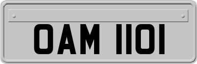 OAM1101