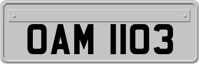 OAM1103