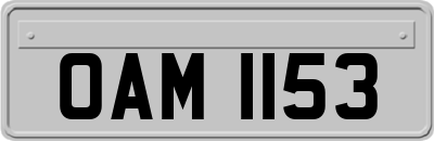 OAM1153