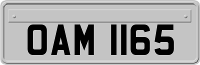 OAM1165