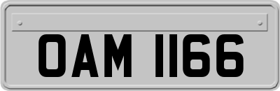 OAM1166
