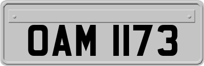 OAM1173