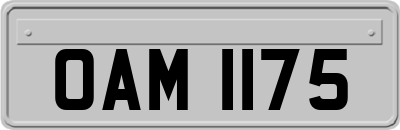 OAM1175