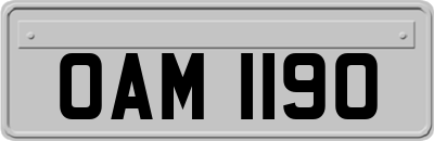 OAM1190