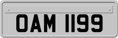 OAM1199