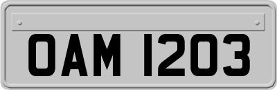 OAM1203