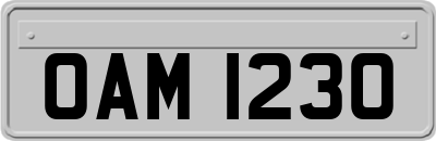 OAM1230