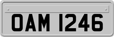 OAM1246