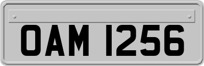 OAM1256