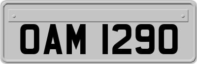 OAM1290