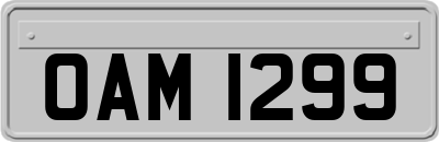 OAM1299