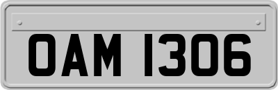 OAM1306