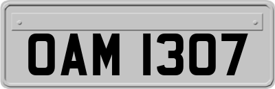 OAM1307
