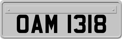 OAM1318