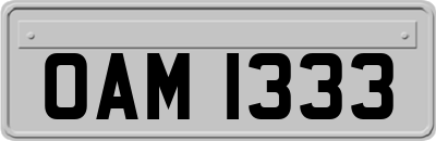 OAM1333