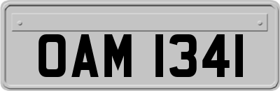 OAM1341