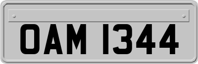 OAM1344