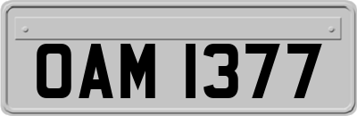 OAM1377