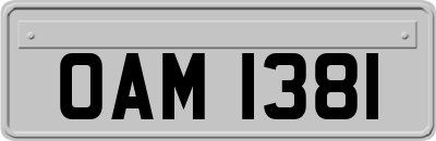 OAM1381