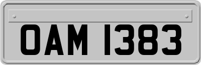 OAM1383
