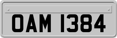 OAM1384