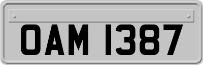 OAM1387