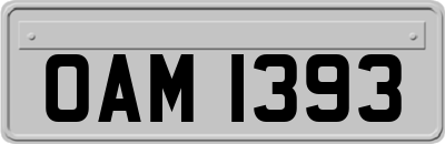 OAM1393
