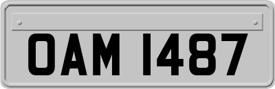OAM1487