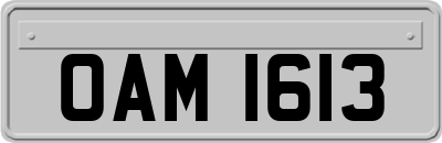 OAM1613