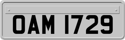 OAM1729