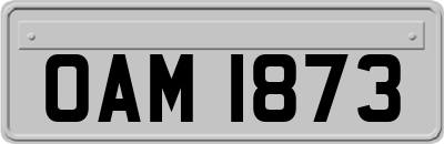 OAM1873