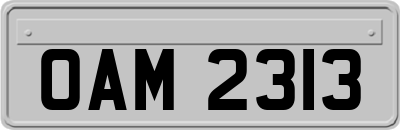 OAM2313