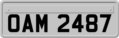 OAM2487