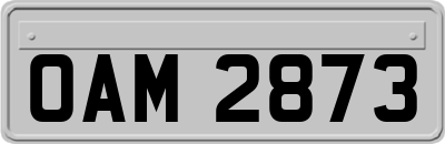 OAM2873