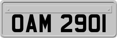 OAM2901