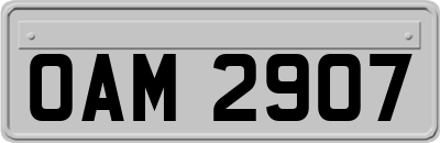 OAM2907