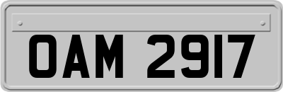 OAM2917