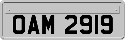 OAM2919