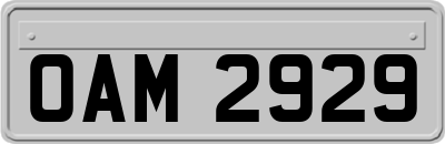 OAM2929