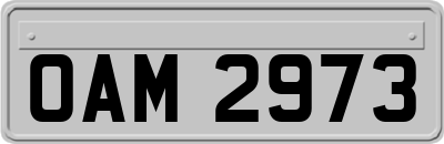 OAM2973