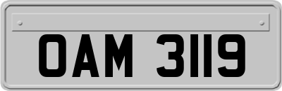 OAM3119