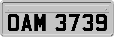 OAM3739