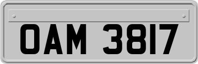 OAM3817