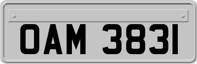 OAM3831