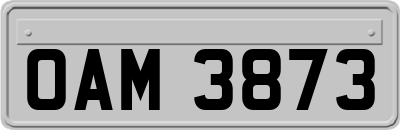 OAM3873