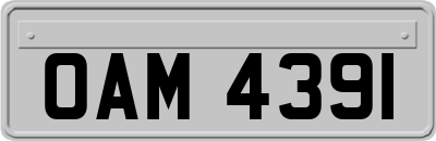 OAM4391